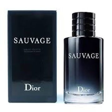 عطر ادکلن دیور ساواج-ساوج-ساواژ ادوتویلت | Dior Sauvage EDT