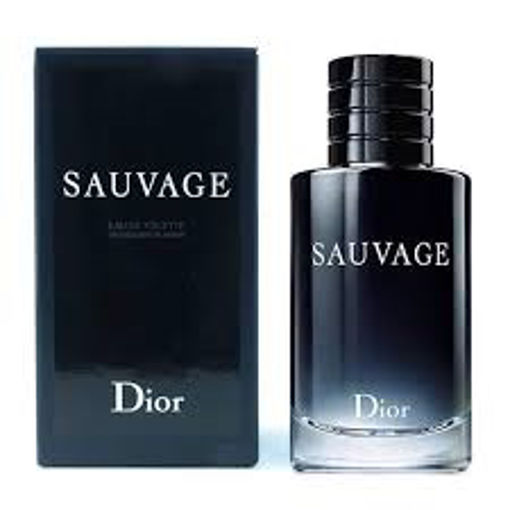عطر ادکلن دیور ساواج-ساوج-ساواژ ادوتویلت | Dior Sauvage EDT