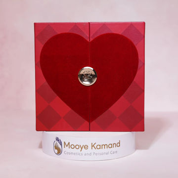 پلت رژ لب دوتایی لانکوم LANCOME