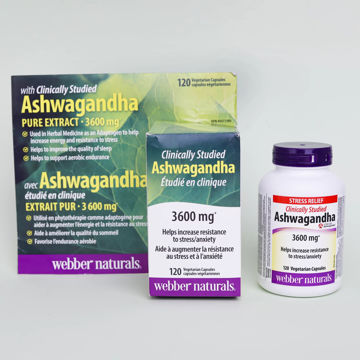 آشواگاندا وبر نچرالز