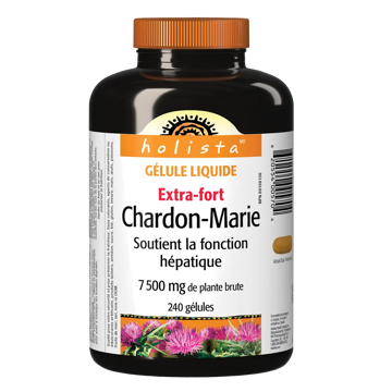 خار مریم چاردون ماری هولیستا