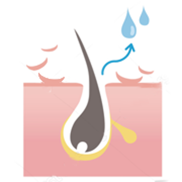 تصویر برای دسته  موی خشک