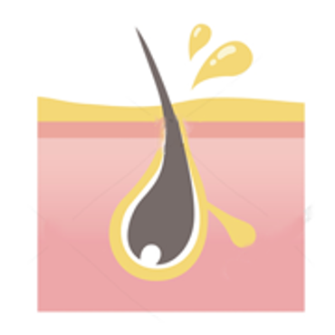 تصویر برای دسته  موی چرب